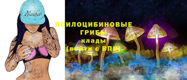 spice Горнозаводск